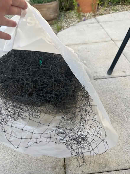 Photo of free Garden netting (Headington, Oxford OX3) #4