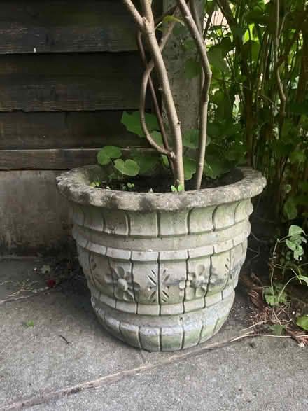 Photo of free Large Plant & Heavy Planter (Newburgh WN8) #2