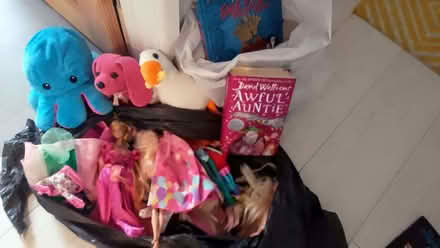 Photo of free Girl toys (Dawlish EX7) #1