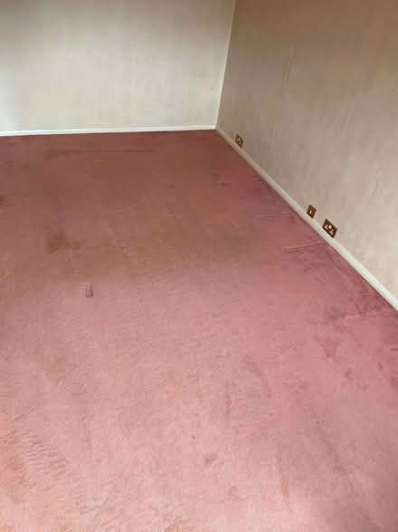 Photo of free CARPET - large room size, wool blend (King's College Playing Fields HA4) #1