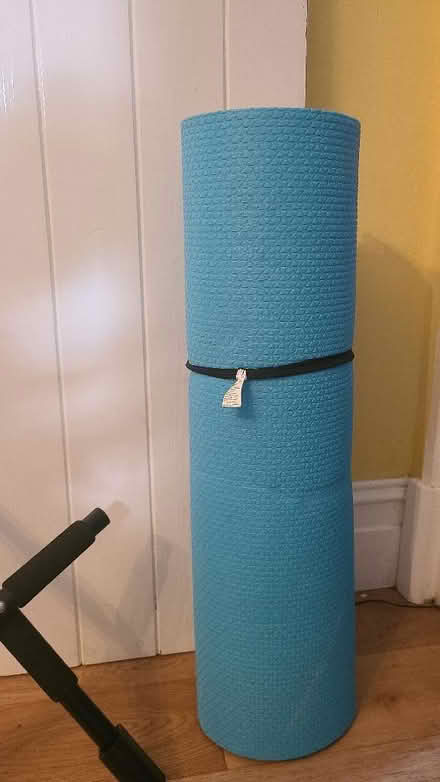 Photo of free Exercise mat (South Leigh OX29) #1