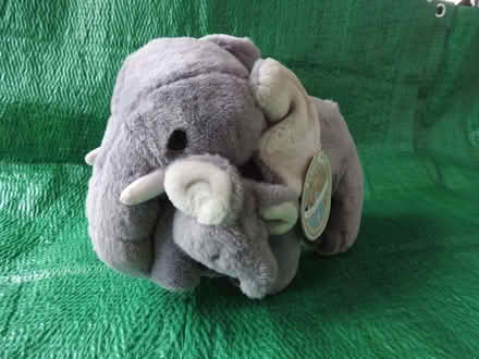 Photo of free Elephant plush toy (Agar Nook LE67) #1