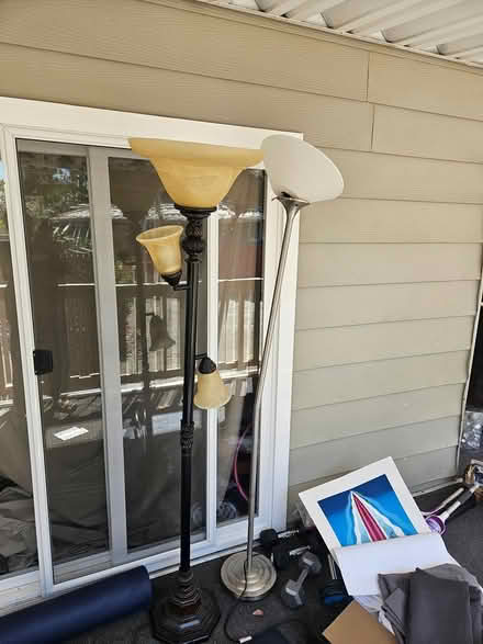 Photo of free Artificial tree and lamps (N. 1st street. San Jose @ 237) #2
