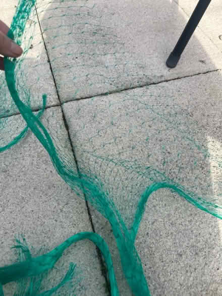 Photo of free Garden netting (Headington, Oxford OX3) #1