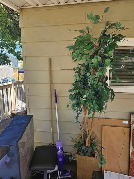 Photo of free Artificial tree and lamps (N. 1st street. San Jose @ 237) #1