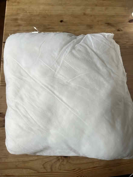 Photo of free Cushion insert (Mitcham CR4) #1