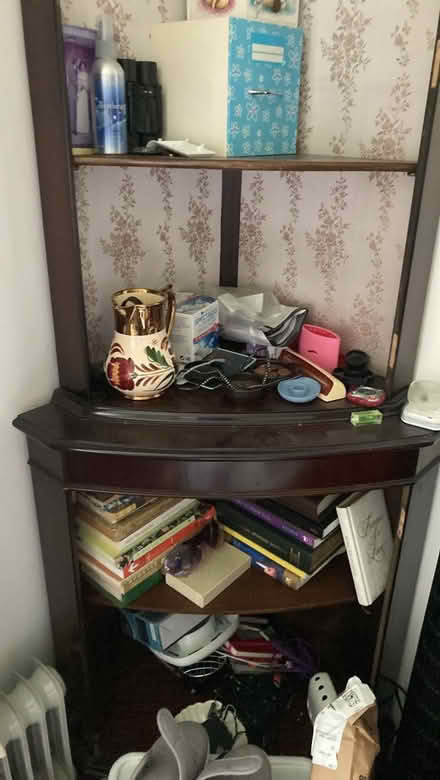 Photo of free corner Cabinet wood (Buckland TQ12) #1