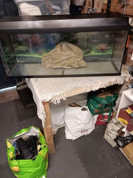 Photo of free Aquarium (Wollaton ng8) #1