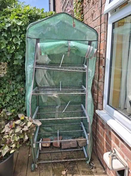 Photo of free mini green house (Sherwood Nottingham NG5) #2