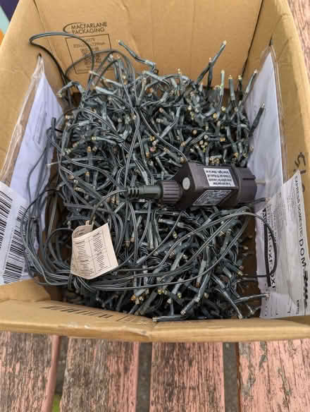 Photo of free Fairy lights (Florence Park OX4) #1