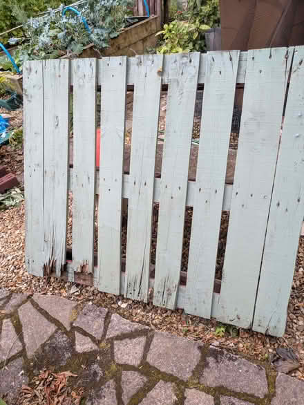 Photo of free Painted wooden pallets (Baswich ST17) #1