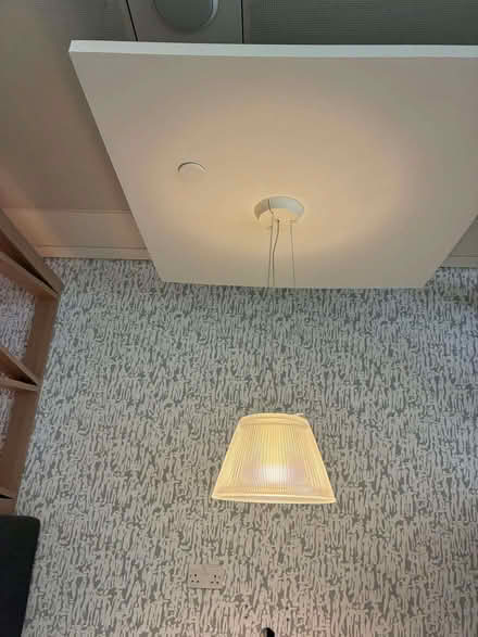 Photo of free Hanging lamp shades (Shoreditch EC2A) #2