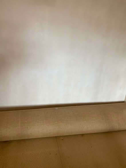 Photo of free CARPET - large room size, wool blend (King's College Playing Fields HA4) #3