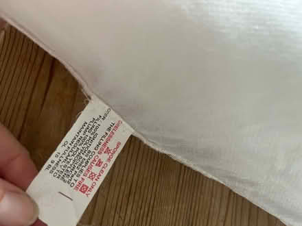 Photo of free Cushion insert (Mitcham CR4) #3