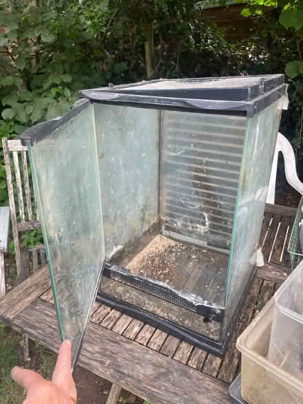 Photo of free Glass reptile vivarium (Hollingbury) #2