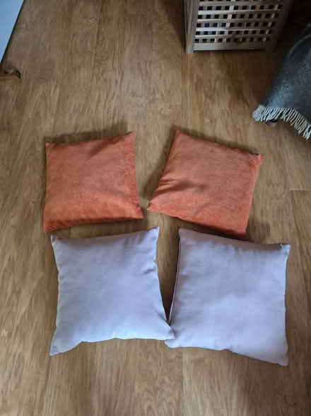 Photo of free Four cushions (Purley on Thames RG8) #1