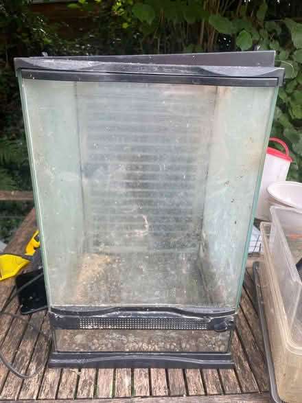 Photo of free Glass reptile vivarium (Hollingbury) #1