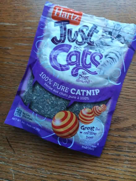 Photo of free Opened catnip (Henbury) #1