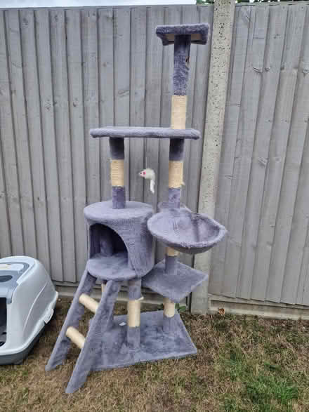 Photo of free Cat tree and large litter box (HA2) #2