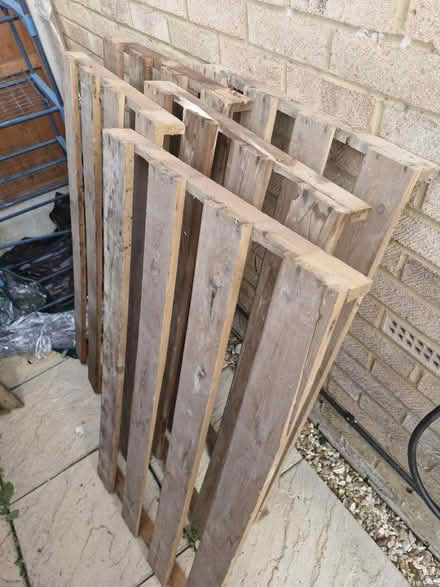 Photo of free Wooden shelves out of shed (MK15 downhead park) #1