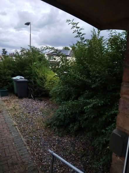 Photo of Electric hedge trimmer (GL1) #1