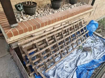 Photo of free Trellis (MK15 downhead park) #1