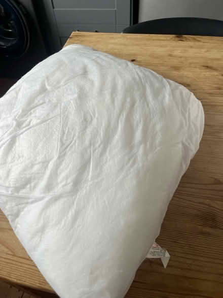 Photo of free Cushion insert (Mitcham CR4) #4