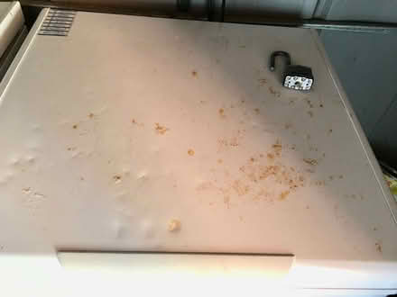 Photo of free Small chest freezer, choice of two (Hollington TN38) #3