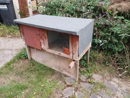 Photo of free Guinea pig or rabbit hutch (Bridgemary PO13) #3