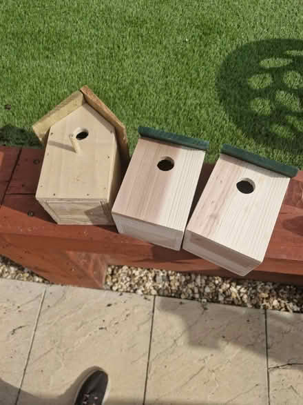 Photo of free 3x bird boxes (MK15 downhead park) #1