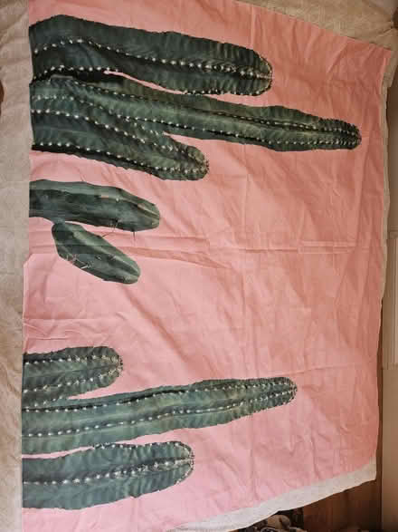 Photo of free cactus fabric print/wall hanging (Turnpike Lane) #1