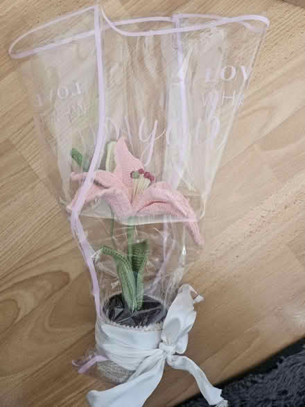 Photo of free Knitted plant (HA7) #1