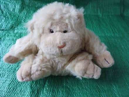 Photo of free Monkey plush toy (Agar Nook LE67) #1