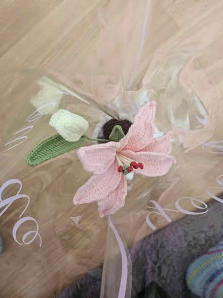 Photo of free Knitted plant (HA7) #2