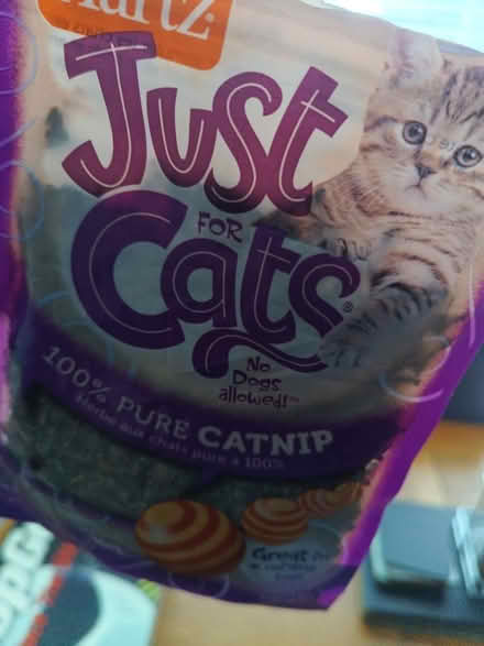 Photo of free Opened catnip (Henbury) #2