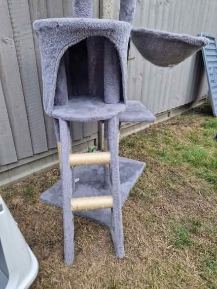 Photo of free Cat tree and large litter box (HA2) #1