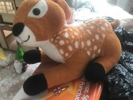 Photo of free Soft toy (South oxhey WD19) #1