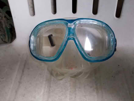 Photo of free Goggles for swimming / snorkelling (Bucknell SY7) #1