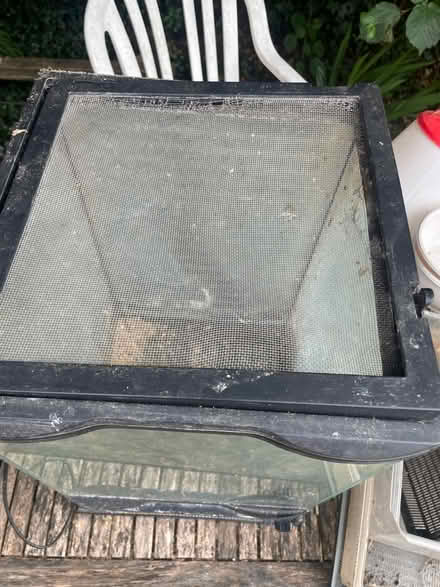 Photo of free Glass reptile vivarium (Hollingbury) #3