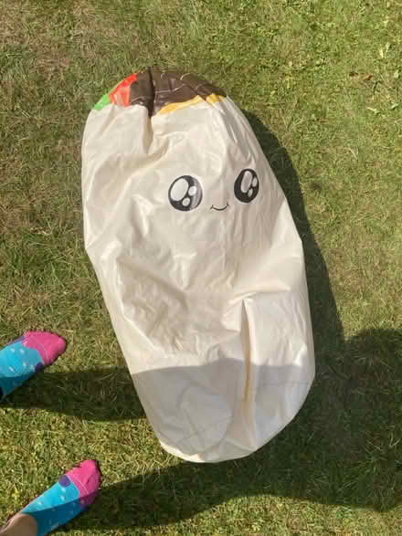 Photo of free 2 x inflatable burritos (OX33, Wheatley) #1