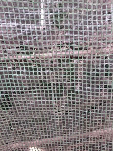 Photo of free mini green house (Sherwood Nottingham NG5) #3