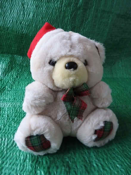 Photo of free Little teddy (Agar Nook LE67) #1