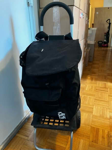 Photo of free Rolling grocery cart (Cambridgeport) #1
