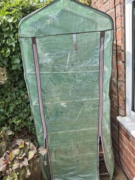 Photo of free mini green house (Sherwood Nottingham NG5) #1