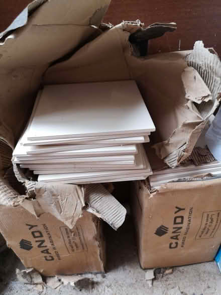 Photo of free Cream Ceramic tiles (North Tonbridge TN10) #1
