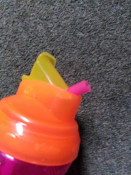 Photo of free Munchkin Drink Bottle (Ecclesall, S11) #3