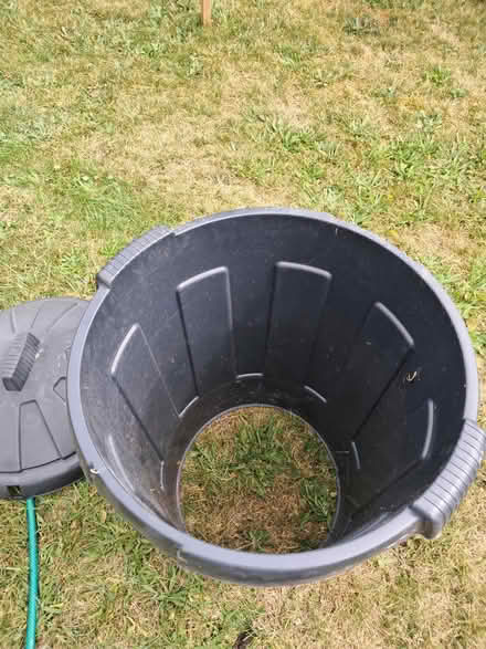 Photo of free Rhubarb forcer (Formby L37) #1