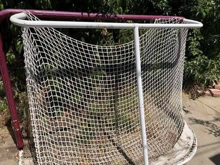 Photo of free Street hockety bet (San Jose West) #2