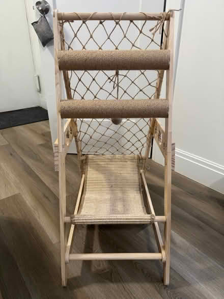 Photo of free Cat climbing tree (Rego Park) #1