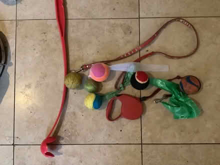 Photo of free Dog lead, balls and bags! (Wantage OX12) #1